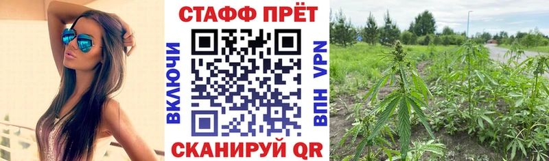 Галлюциногенные грибы Олёкминск