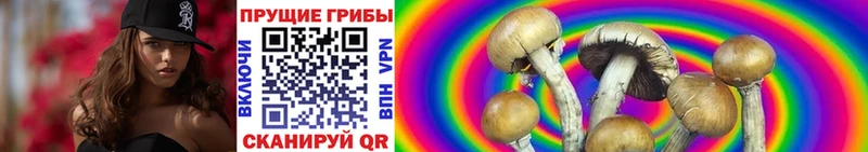 Галлюциногенные грибы прущие грибы  наркота  Олёкминск 